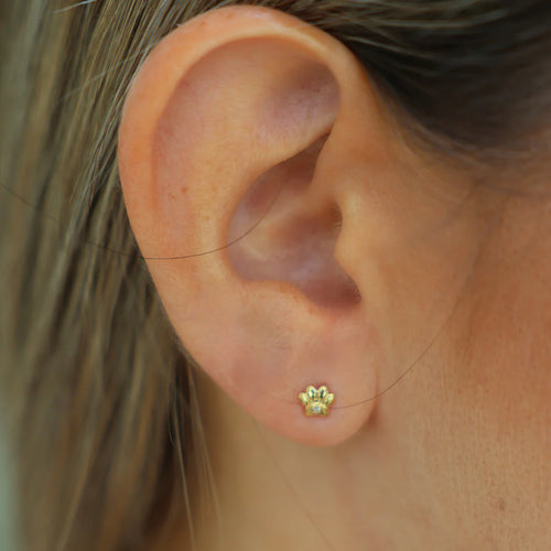 Baby Stud With Diamond Mini Dog Paw